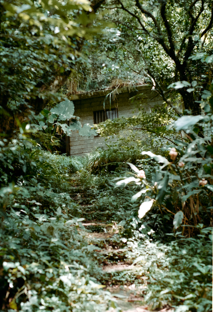 LANDSCAPE_TH 13