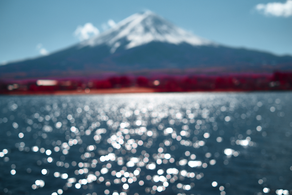 Dragan_Saric_G 2