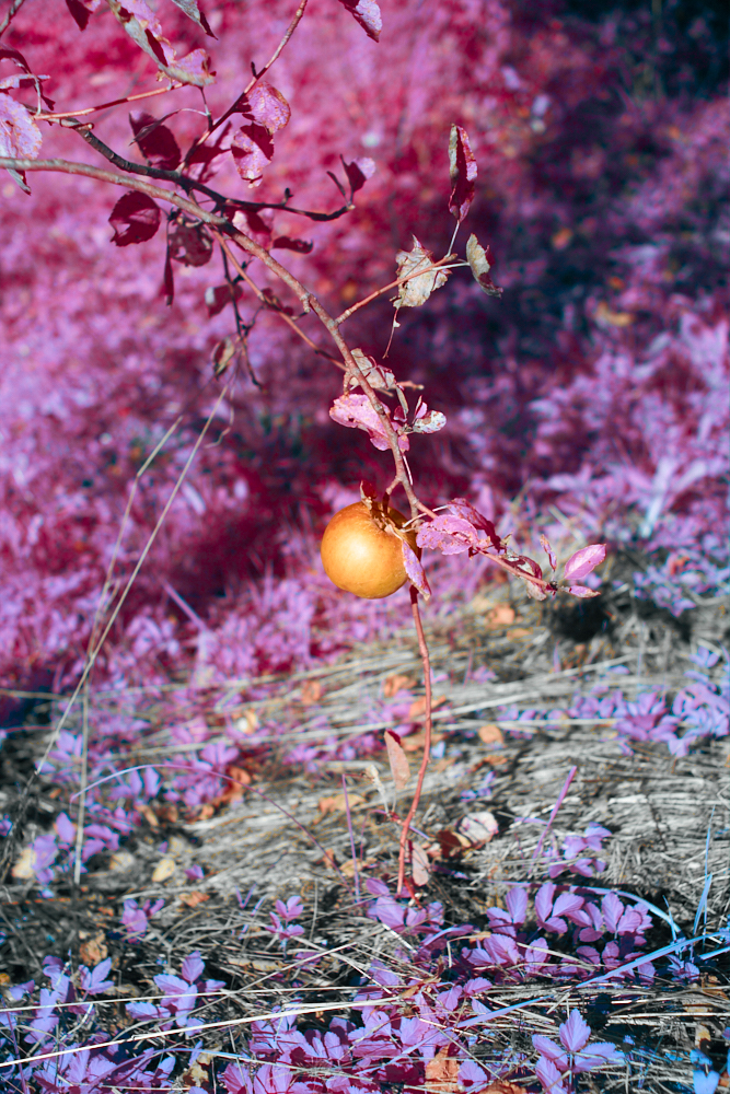 Dragan_Saric_WEB_16