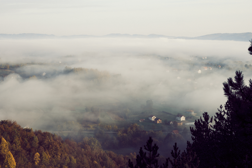 Dragan_Saric_WEB_9